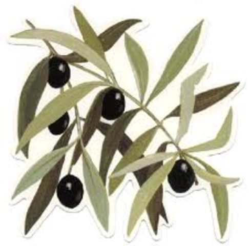 L'olive, un symbole de paix antique qui perdure