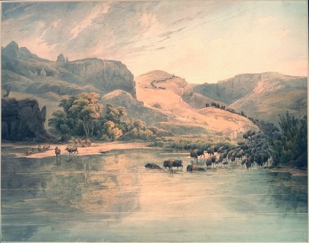 They begin their adventure