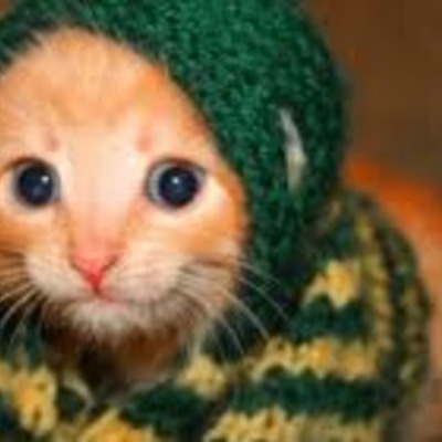 Timeline: The Sui and Europe