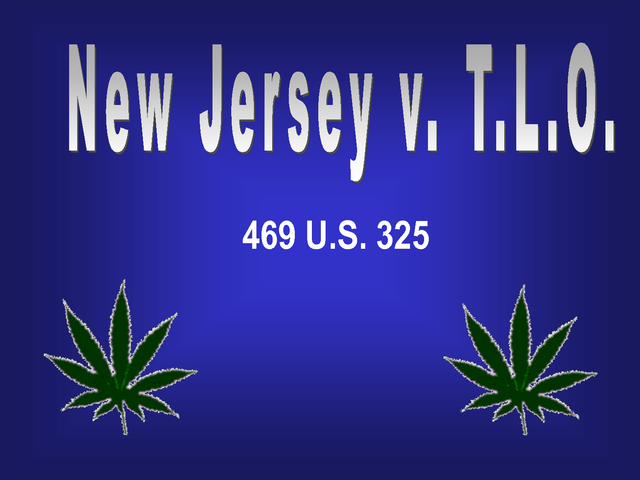 NJ v. T.L.O.