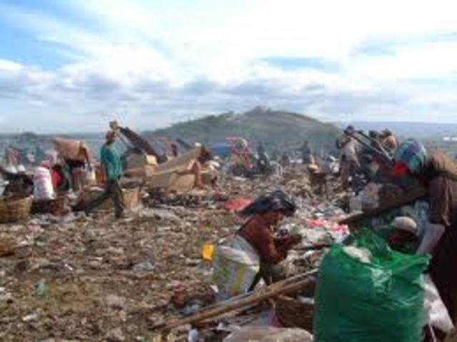 Jack & Bam Expition for Food