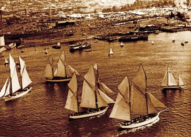 not all of them made it