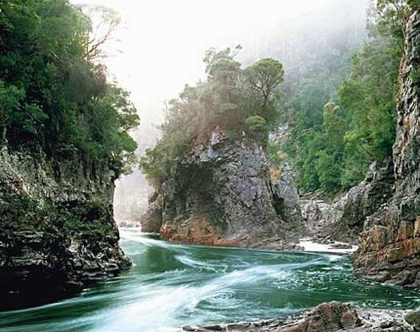 The Franklin/ Gordan River campaign successful