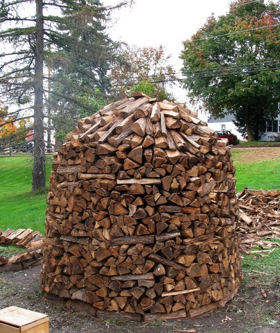 Napoleon sells wood pile