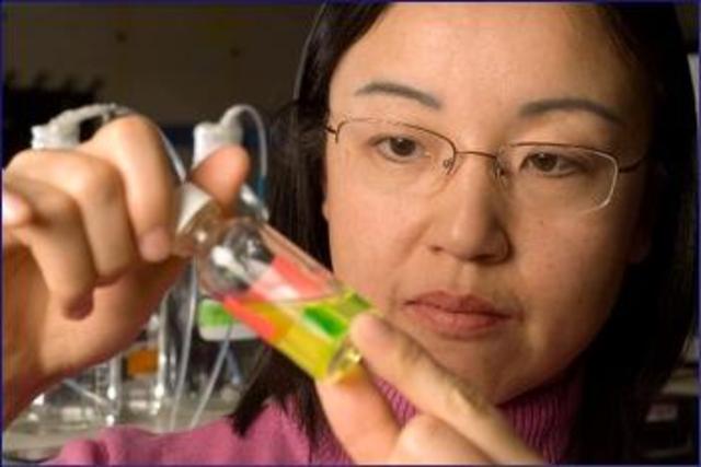 First Day On The Job