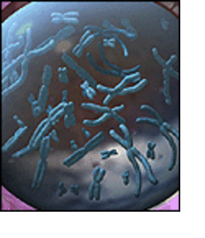 Launch of the Human Genome Project