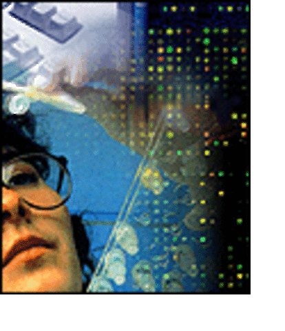 New HGP Five-year Plan