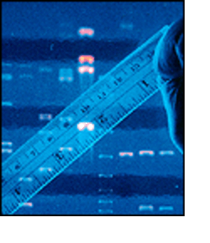 Human Gene Map Created