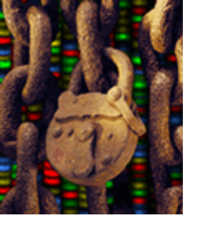 Executive Order Bans Genetic Discrimination in the Federal Workplace