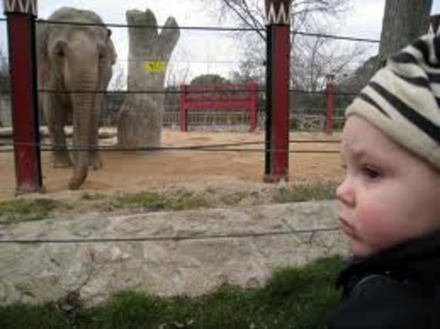 TU PRIMERA EXCURSION