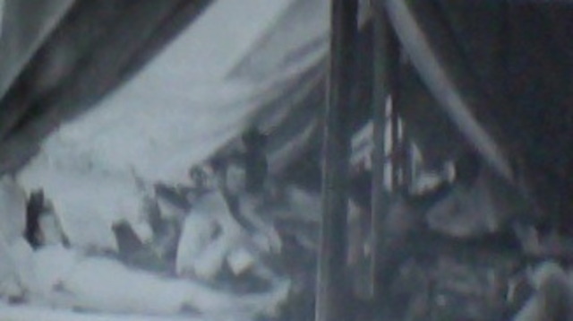 Daisy Helps with War