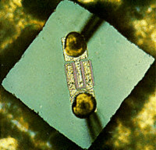 NPN Transistor