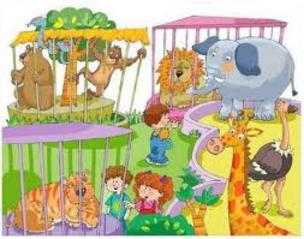 Mi primera excursión