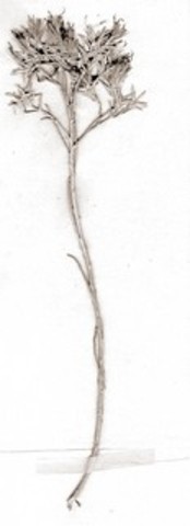 Racing Against Winter's Approach