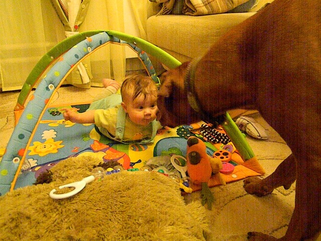 Елизавета Алексеевна атакуют Нюшу