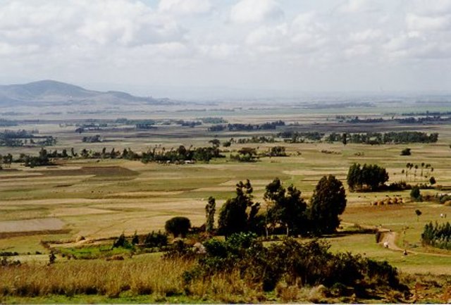 Readying for the Return