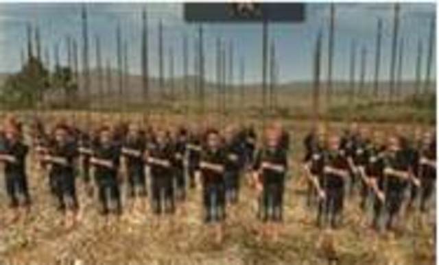 Confederate troops go to the Capitol