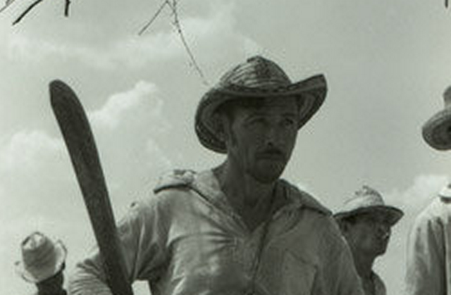 Conflictos ANUC y PCml