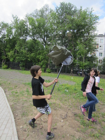 Летняя практика, 7 класс