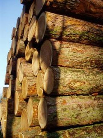 Le Libéria condamné