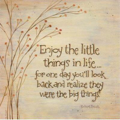 Timeline: MEMEME - The Story of My Life:Andrea