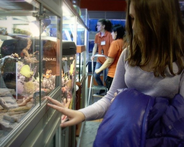 лиза и ящерица