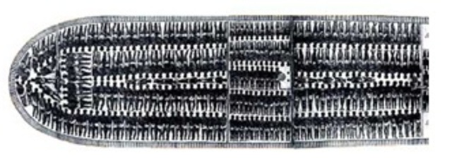 African Slave Importation