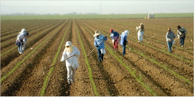 Penalizing Businesses That Hire Illegal Immigrants