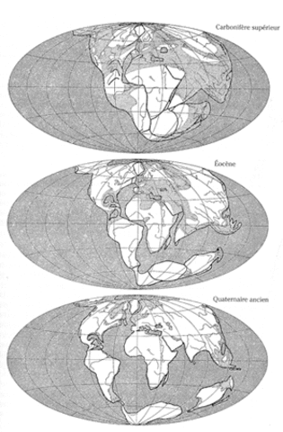 Théorie sur la dérive des continents