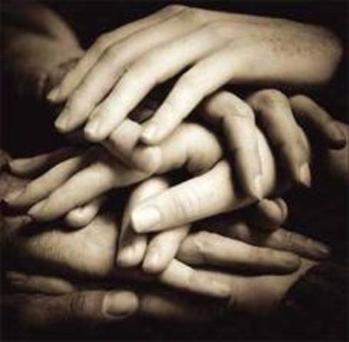 participacion social