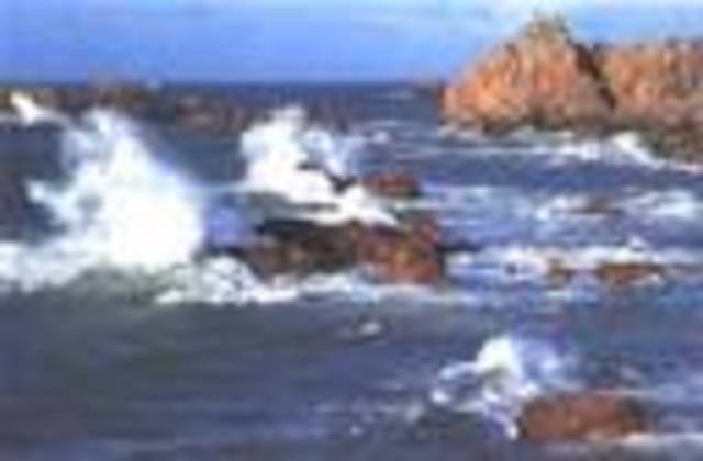 El avazar en el Mediteranean Costa