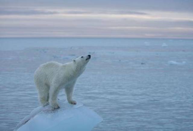 The highest temperature ever recorded in the UK