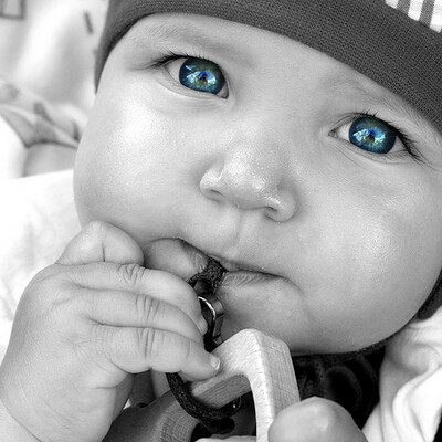 Timeline: Toddler Timeline