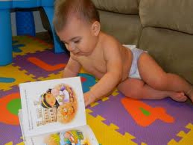 12-15 months: Cognitve