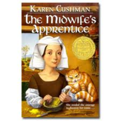 Timeline: The Midwife's Apprentaince