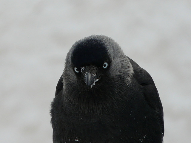 Александров