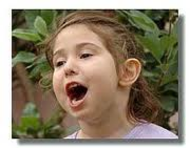 Alyce Learns to Sing