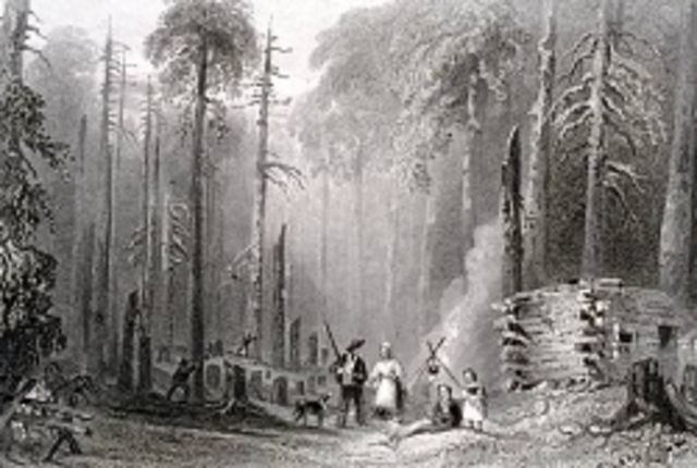 First Settlement Community in French Territory