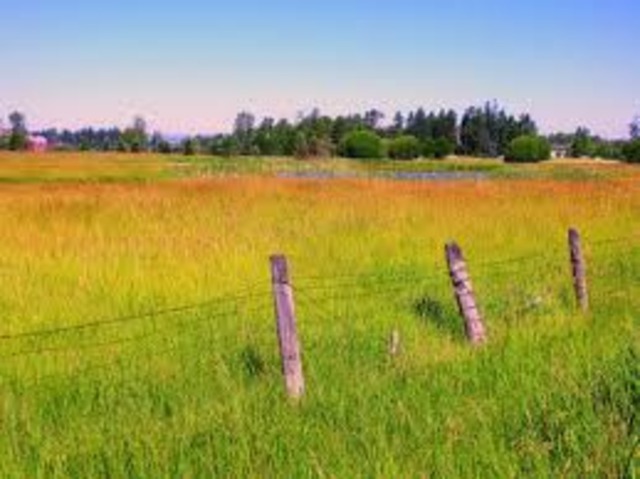 Out in the Contry Taking Pictures