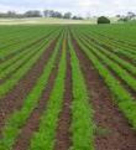 The Household Responsibility