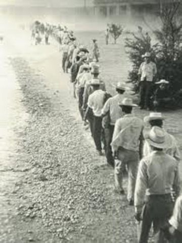 Bracero Program