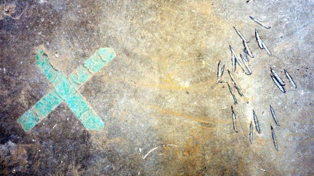 Santa Fe prison riot