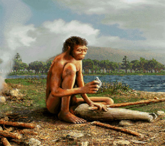 Homo erectus
