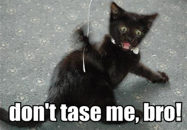 Don't Tase Me Bro!