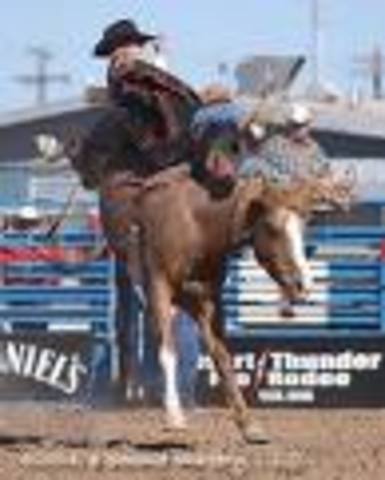 The First Rodeo