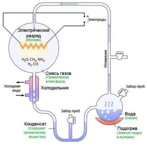 Биологических молекулы