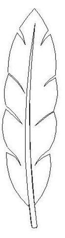 Indian Removal Act 1830