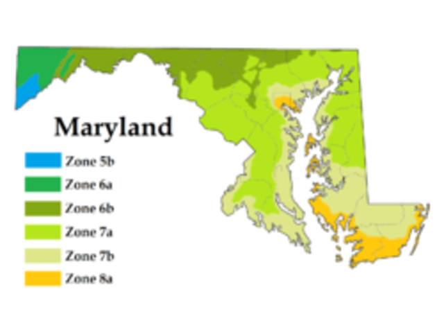 McColluch v. Maryland