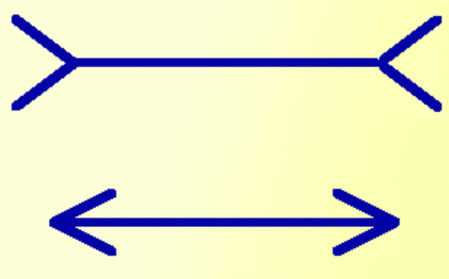 Muller-Lyer- Восприятие