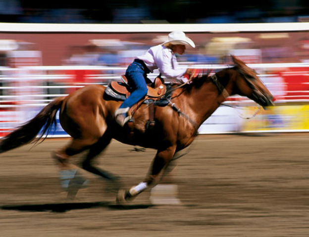 calgary stampead allso an accident